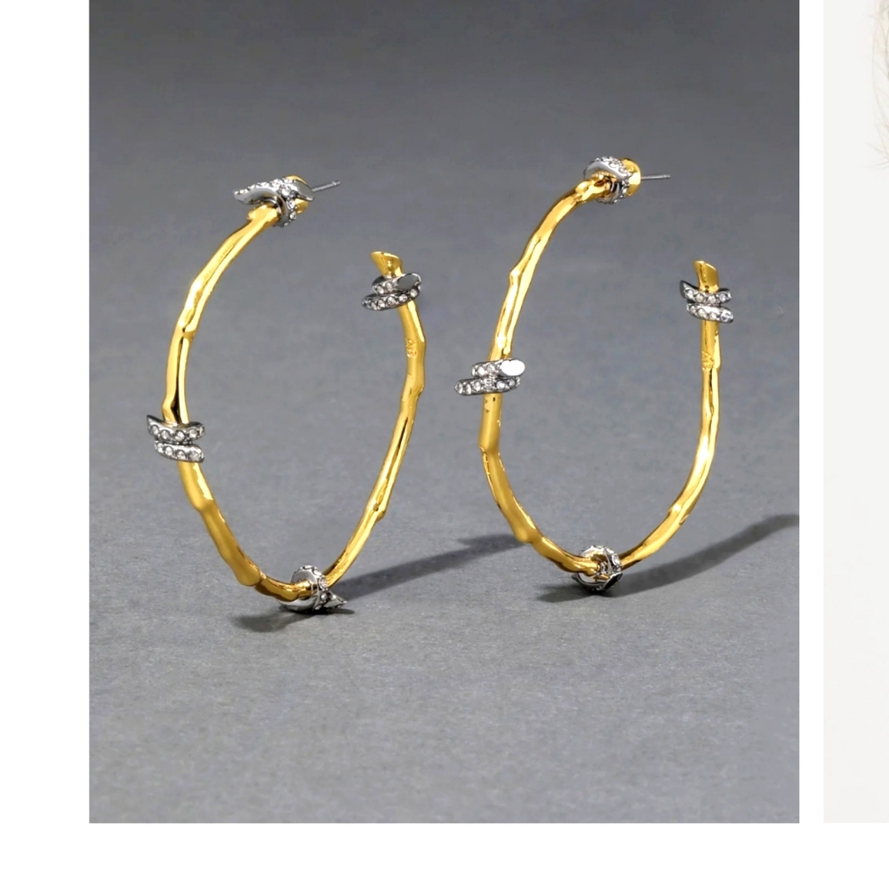 Alexis Bittar hoops earrings new